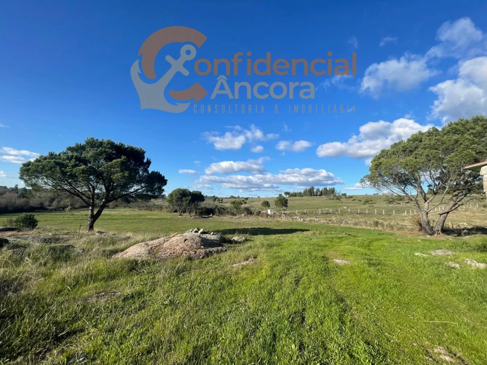 Terreno Agricola ou Rústico para Venda em Santa Marinha e São Martinho Foto 9