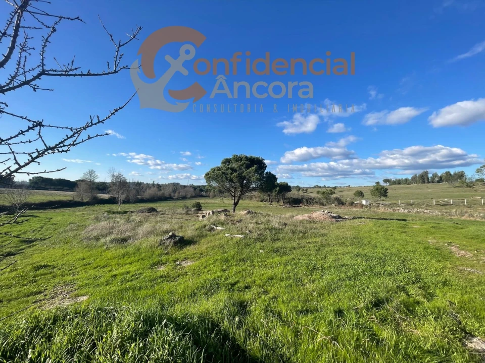 Terreno Agricola ou Rústico para Venda em Santa Marinha e São Martinho Foto 11