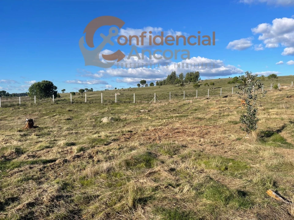 Terreno Agricola ou Rústico para Venda em Santa Marinha e São Martinho Foto 3