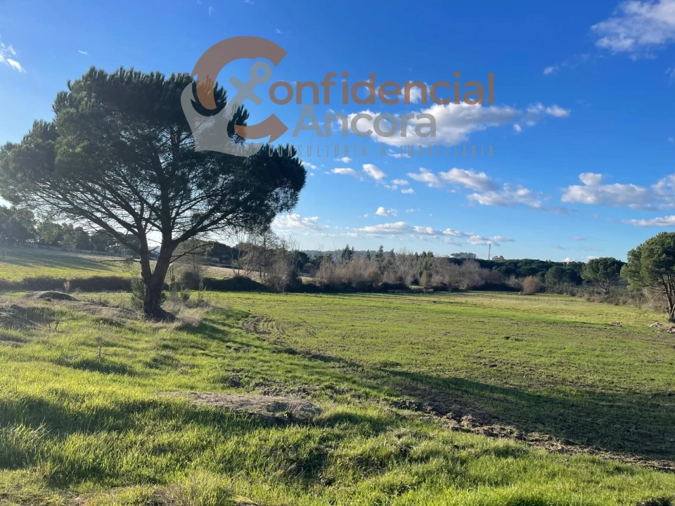 Terreno Agricola ou Rústico para Venda em Santa Marinha e São Martinho Foto 23