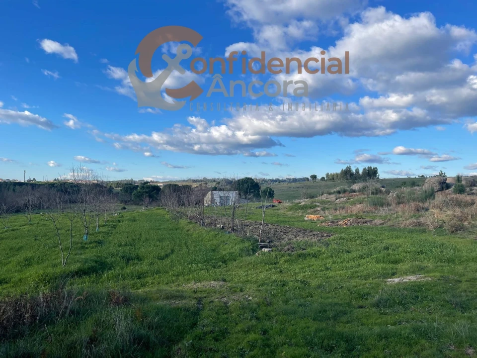 Terreno Agricola ou Rústico para Venda em Santa Marinha e São Martinho Foto 20