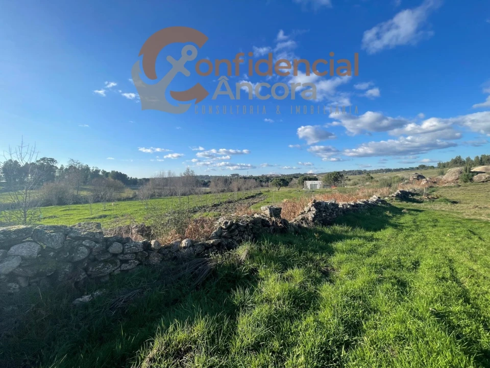Terreno Agricola ou Rústico para Venda em Santa Marinha e São Martinho Foto 15