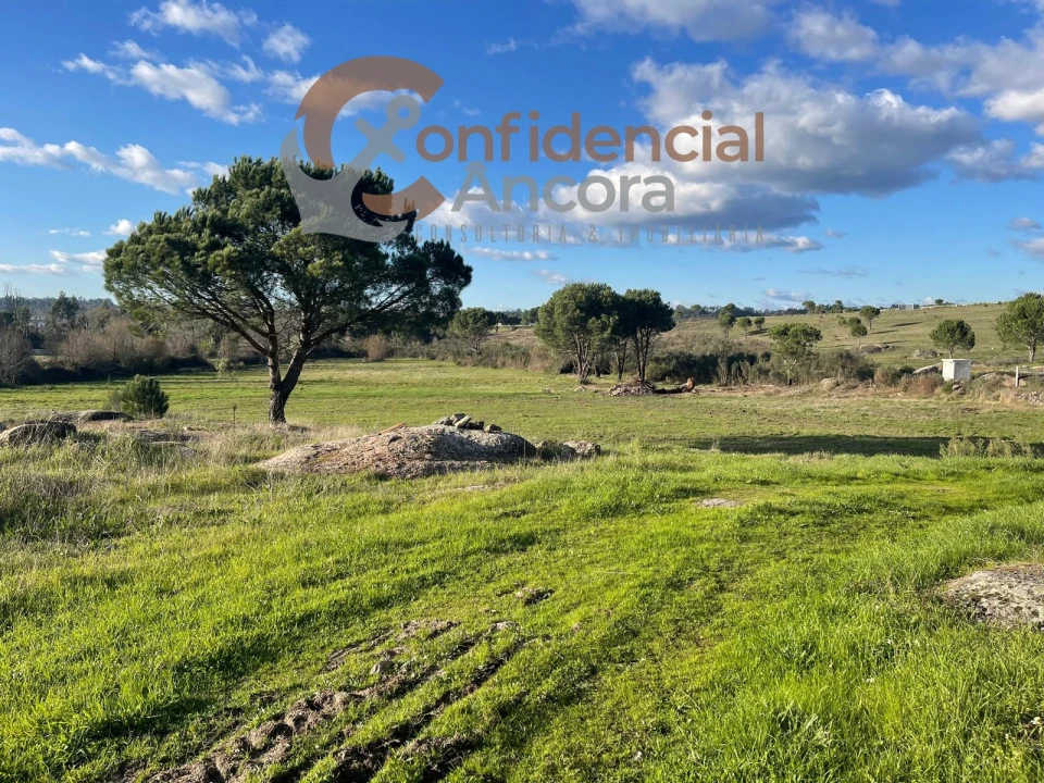 Terreno Agricola ou Rústico para Venda em Santa Marinha e São Martinho Foto 22