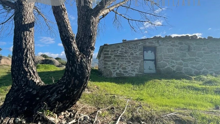 Terreno Agricola ou Rústico para Venda em Santa Marinha e São Martinho