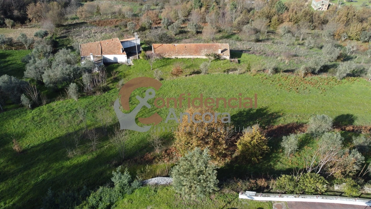 Terreno Agricola ou Rústico para Venda em Gouveia (São Pedro e São Julião) Foto 12