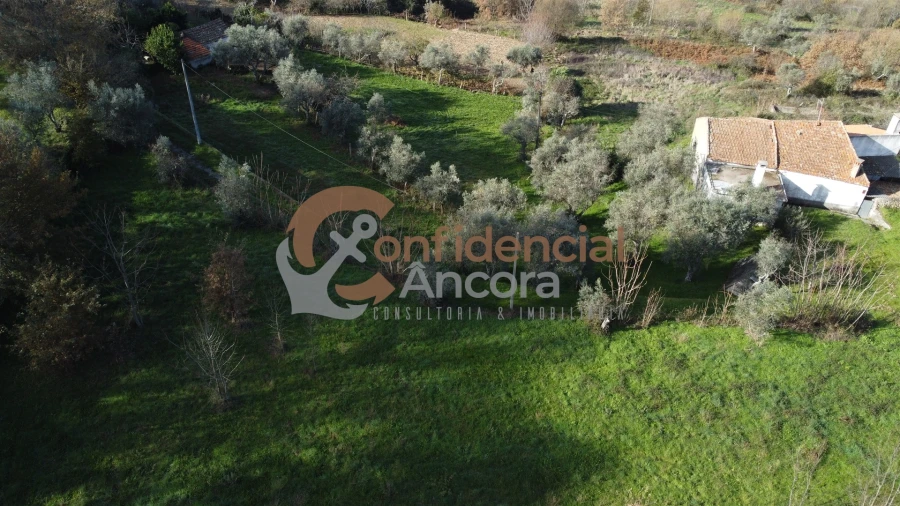Terreno Agricola ou Rústico para Venda em Gouveia (São Pedro e São Julião) Foto 16