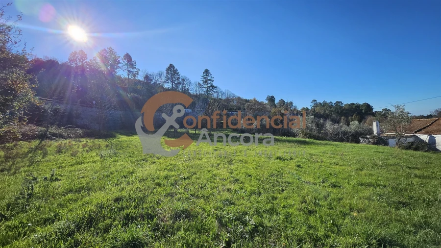 Terreno Agricola ou Rústico para Venda em Gouveia (São Pedro e São Julião) Foto 3