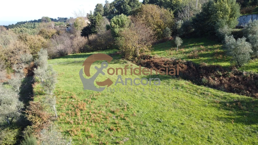 Terreno Agricola ou Rústico para Venda em Gouveia (São Pedro e São Julião) Foto 6