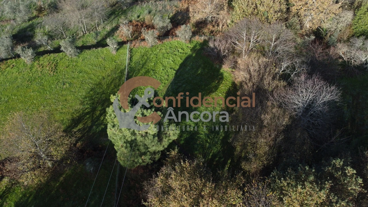 Terreno Agricola ou Rústico para Venda em Gouveia (São Pedro e São Julião) Foto 14