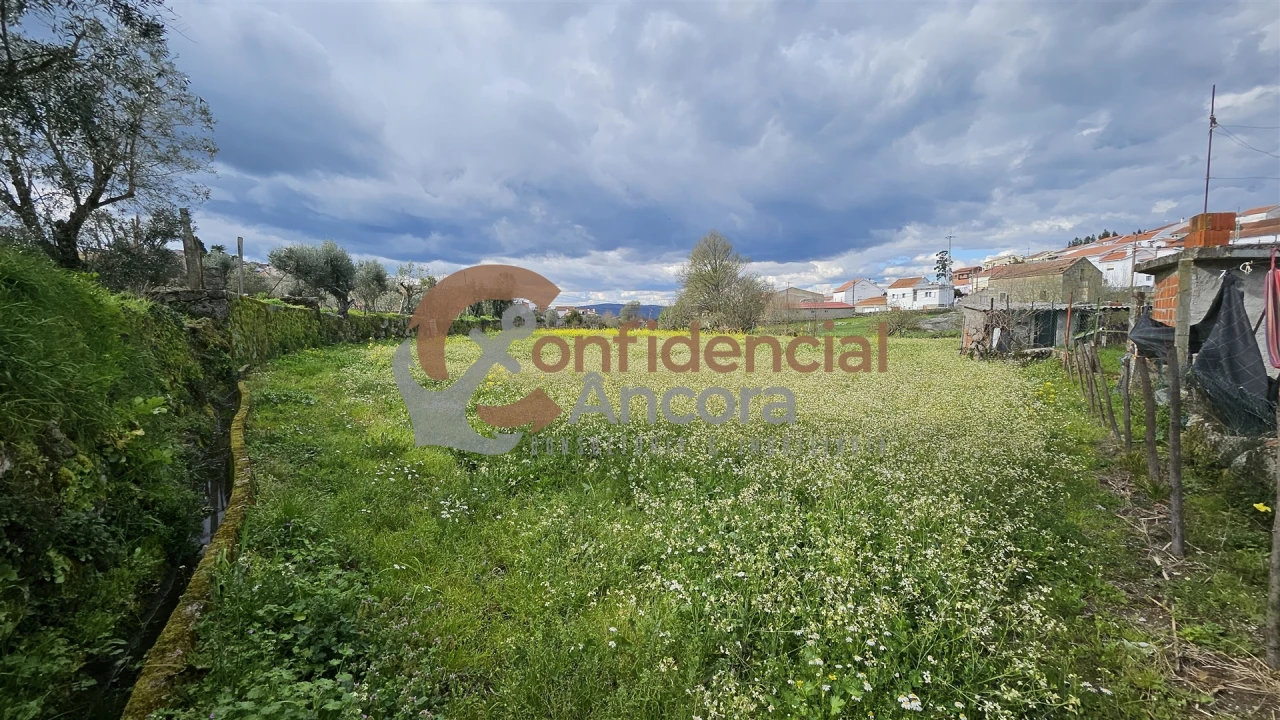 Terreno Agricola ou Rústico para Venda em Nespereira Foto 6