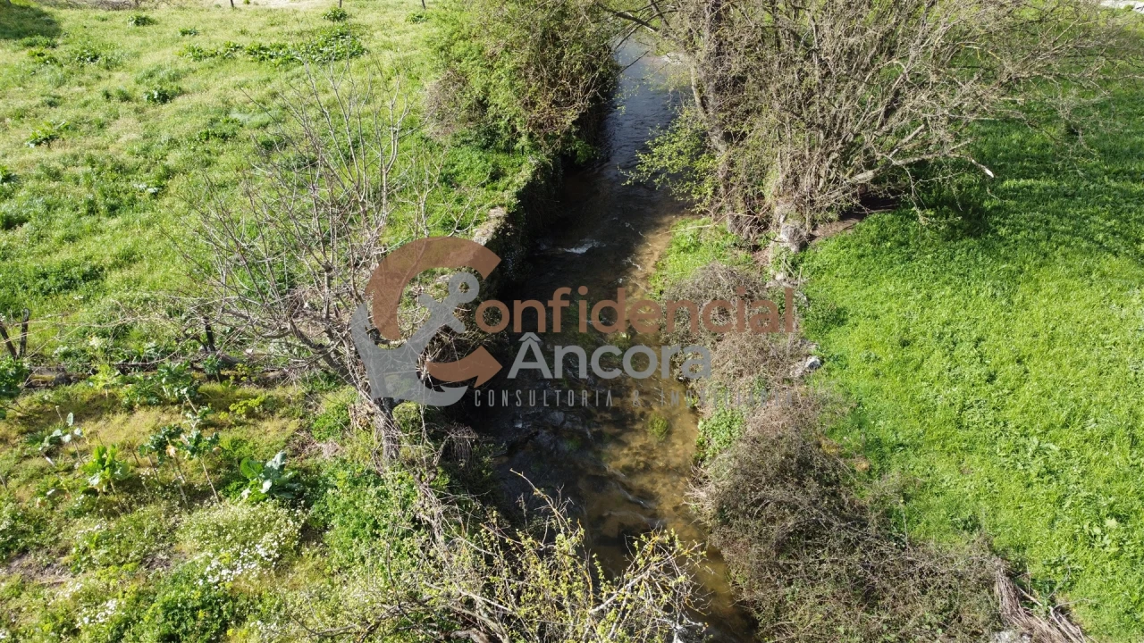 Terreno Agricola ou Rústico para Venda em Nespereira Foto 5
