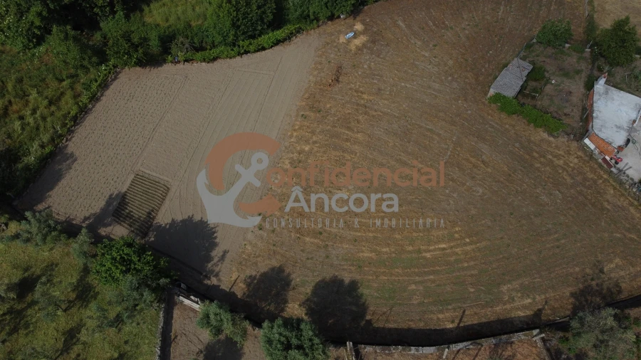 Terreno Agricola ou Rústico para Venda em Nespereira Foto 1