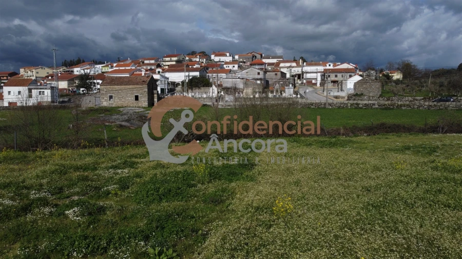 Terreno Agricola ou Rústico para Venda em Nespereira Foto 4