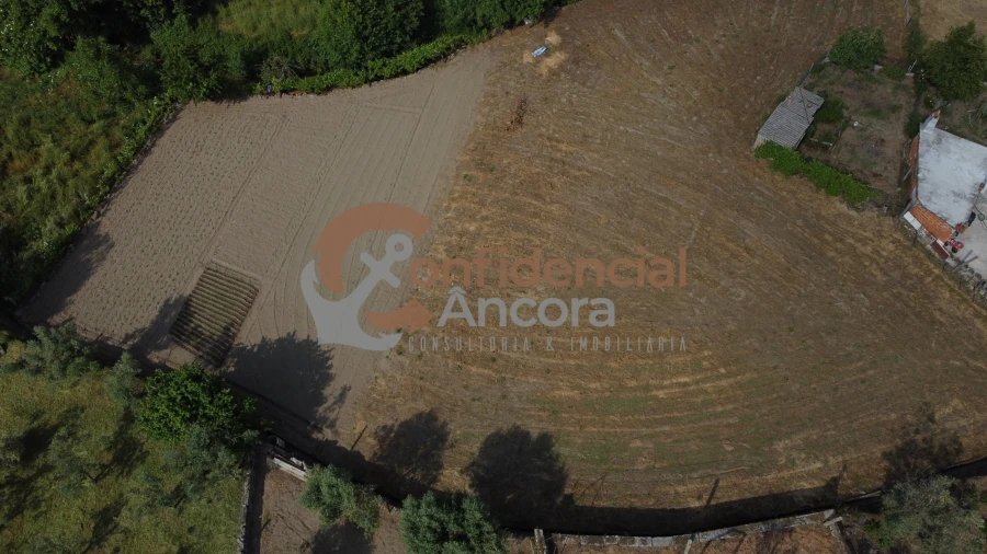 Terreno Agricola ou Rústico para Venda em Nespereira