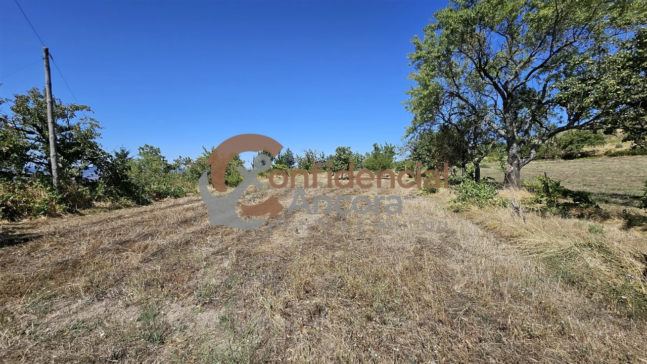 Quinta T0 para Venda em Melo e Nabais Foto 22