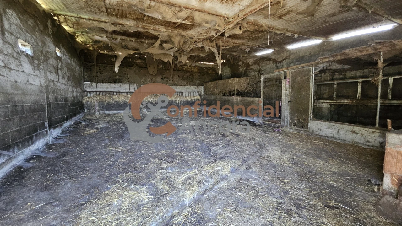 Quinta T0 para Venda em Melo e Nabais Foto 66