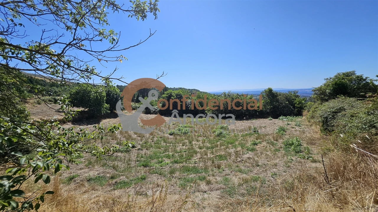 Quinta T0 para Venda em Melo e Nabais Foto 42