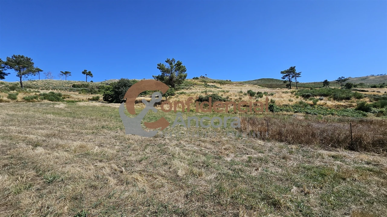 Quinta T0 para Venda em Melo e Nabais Foto 24