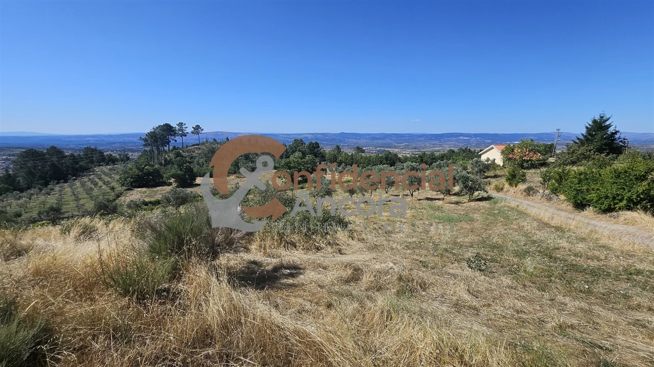 Quinta T0 para Venda em Melo e Nabais Foto 68