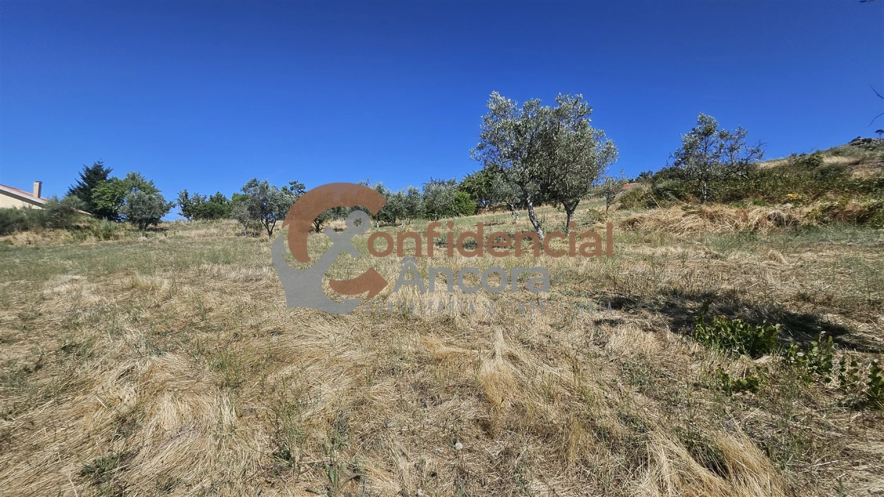 Quinta T0 para Venda em Melo e Nabais Foto 78