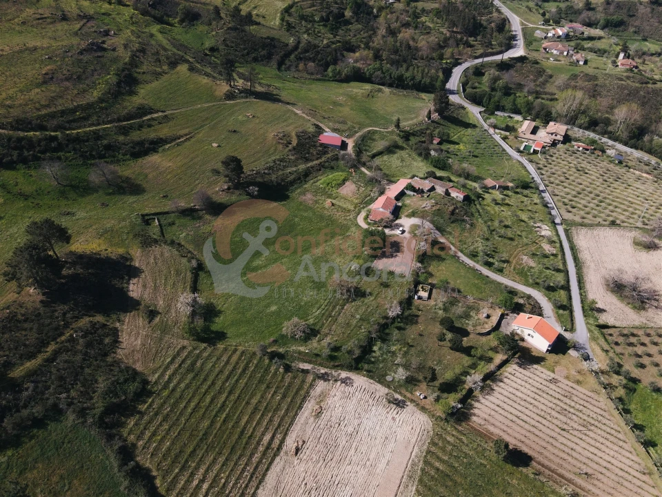 Quinta T0 para Venda em Melo e Nabais Foto 2