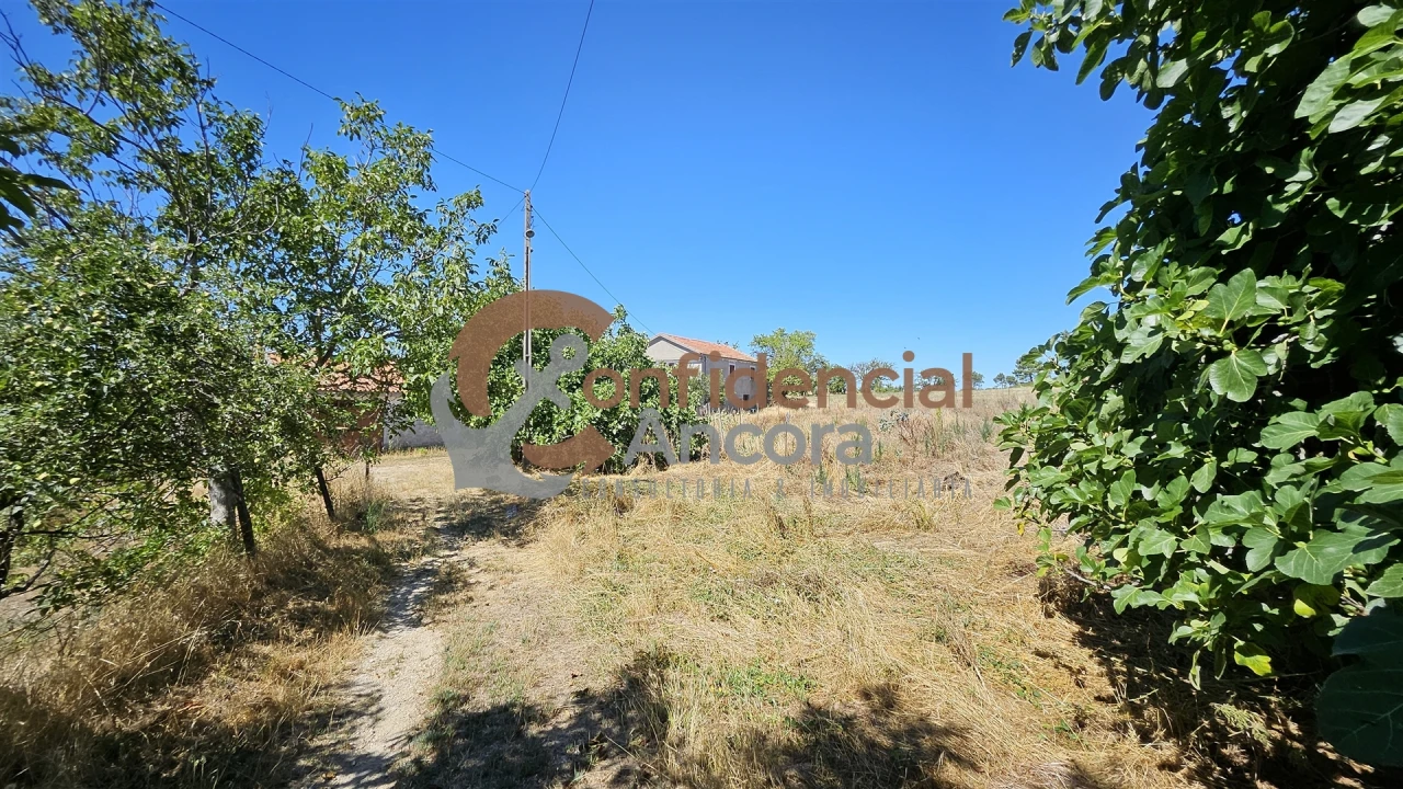 Quinta T0 para Venda em Melo e Nabais Foto 41