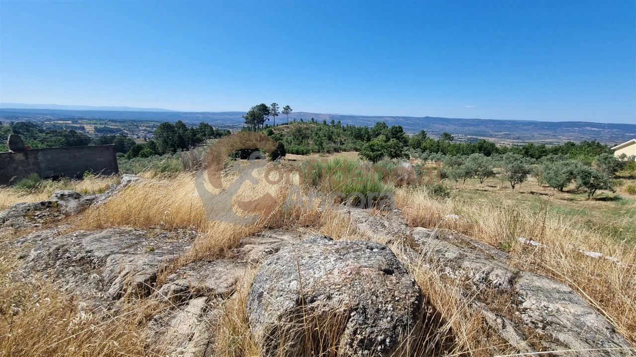 Quinta T0 para Venda em Melo e Nabais Foto 15