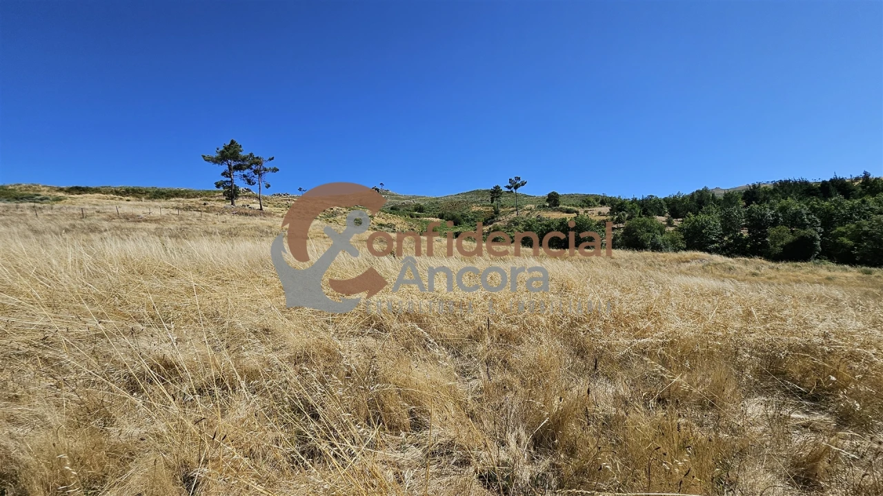 Quinta T0 para Venda em Melo e Nabais Foto 39