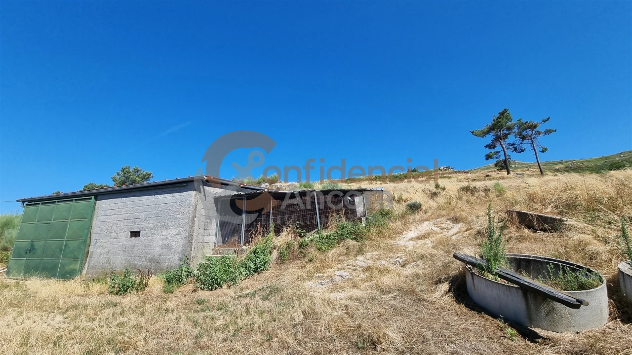 Quinta T0 para Venda em Melo e Nabais Foto 10