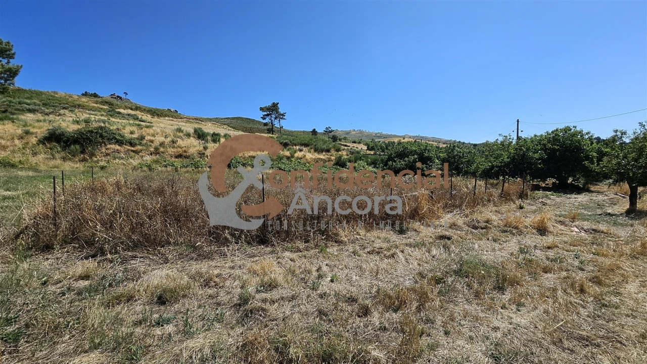 Quinta T0 para Venda em Melo e Nabais Foto 25