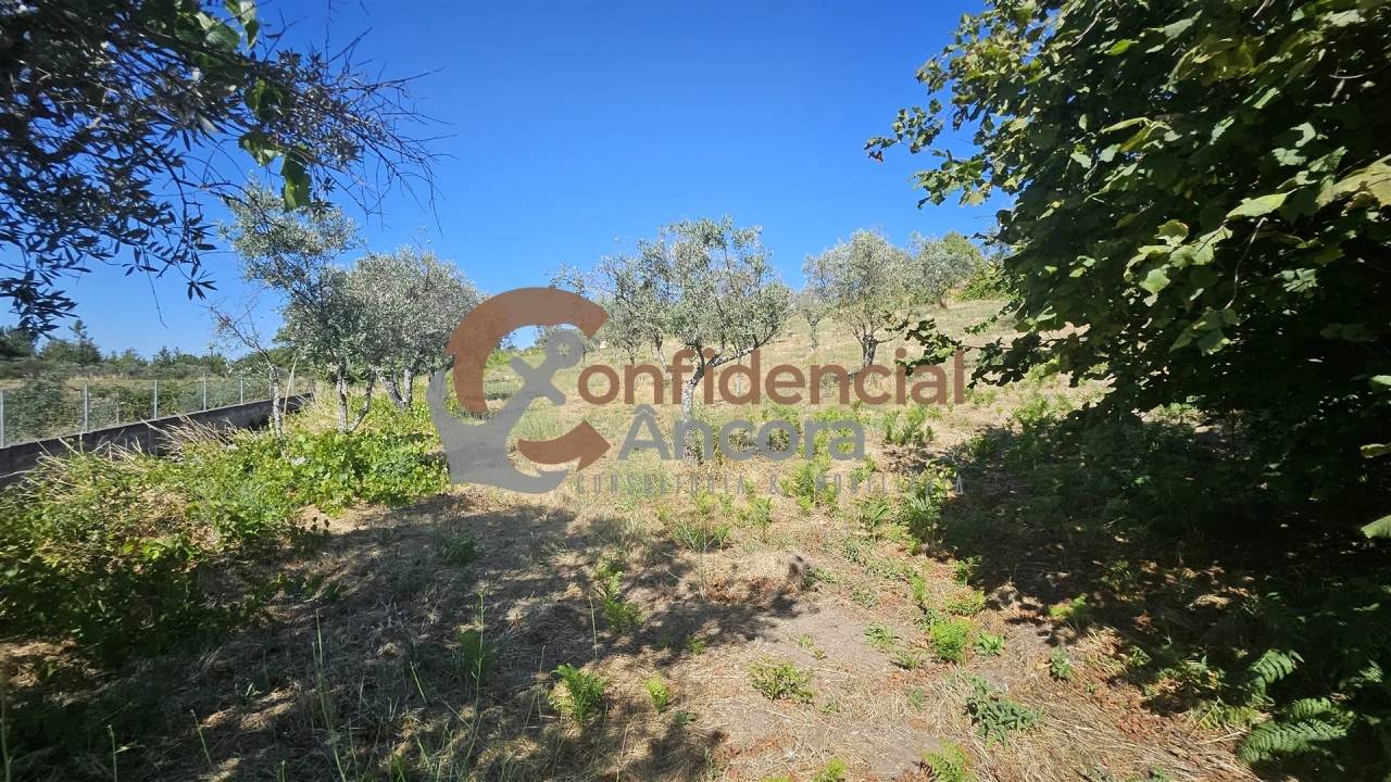 Quinta T0 para Venda em Melo e Nabais Foto 76