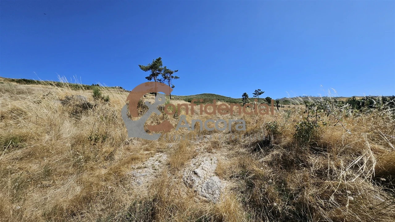 Quinta T0 para Venda em Melo e Nabais Foto 33