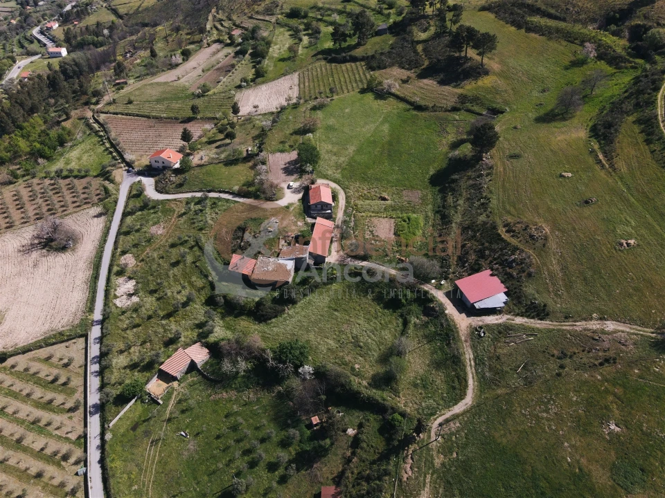 Quinta T0 para Venda em Melo e Nabais Foto 3