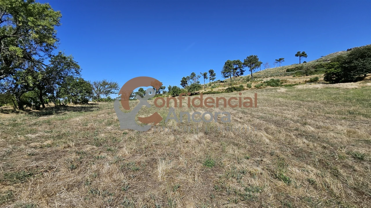 Quinta T0 para Venda em Melo e Nabais Foto 67