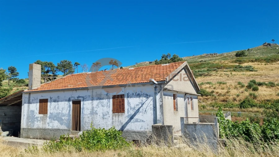 Quinta T0 para Venda em Melo e Nabais Foto 11