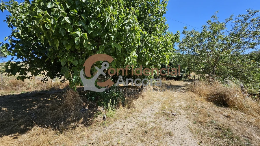 Quinta T0 para Venda em Melo e Nabais Foto 29