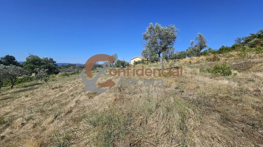 Quinta T0 para Venda em Melo e Nabais Foto 75