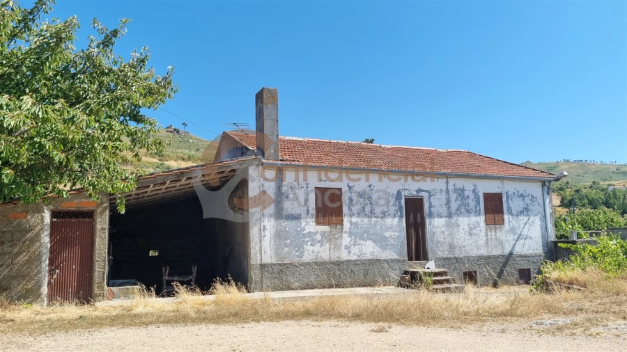 Quinta T0 para Venda em Melo e Nabais Foto 4