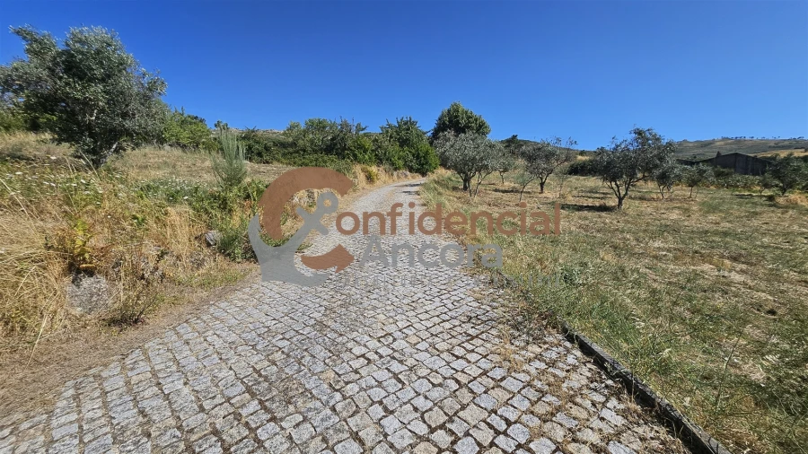 Quinta T0 para Venda em Melo e Nabais Foto 80