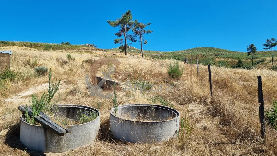 Quinta T0 para Venda em Melo e Nabais Foto 9