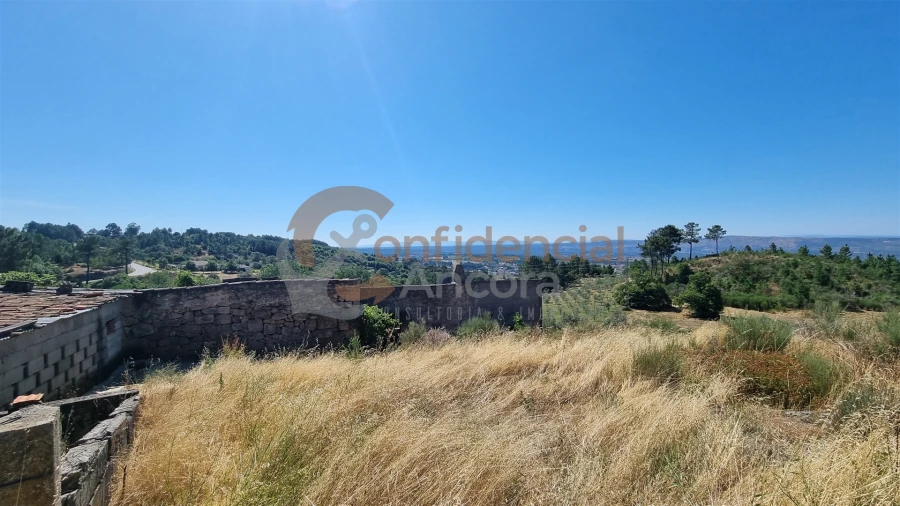 Quinta T0 para Venda em Melo e Nabais Foto 13