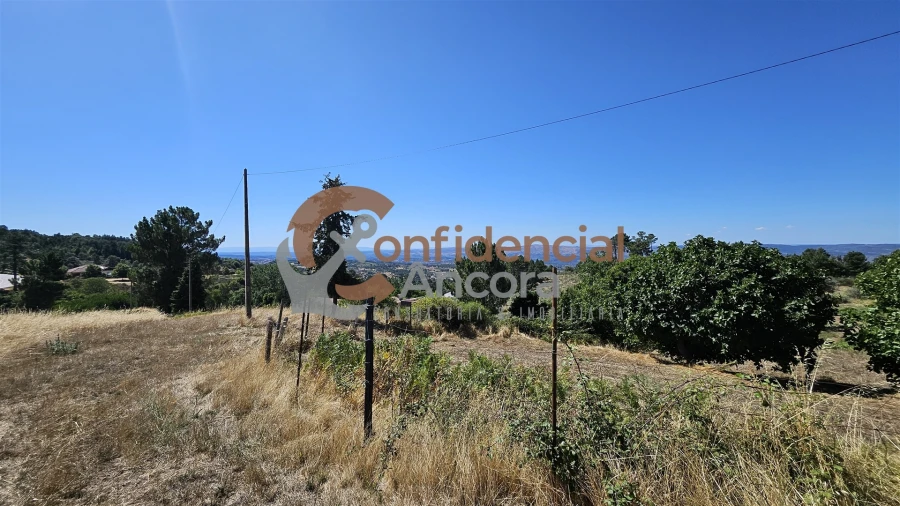 Quinta T0 para Venda em Melo e Nabais Foto 35