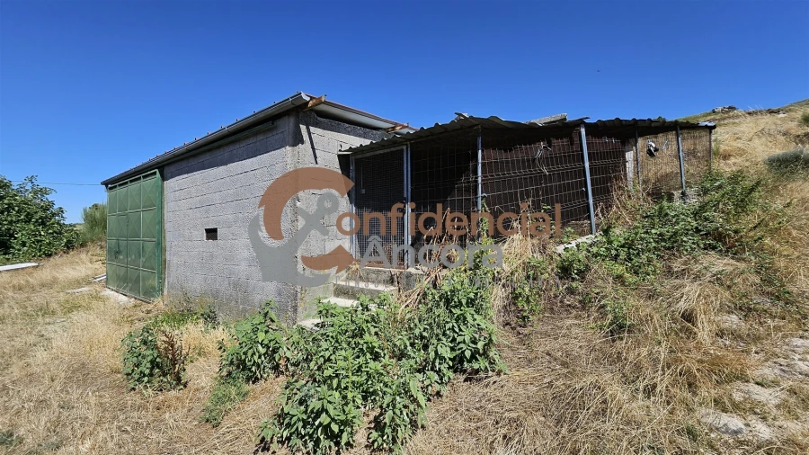 Quinta T0 para Venda em Melo e Nabais Foto 32