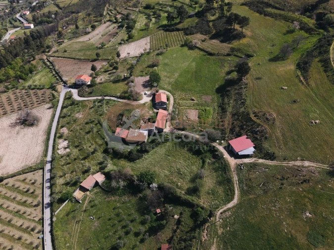 Quinta T0 para Venda em Melo e Nabais Foto 3