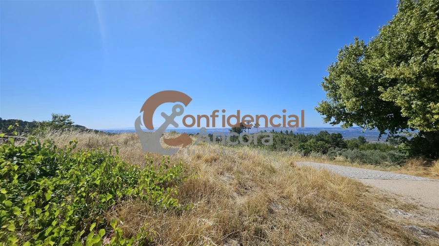 Quinta T0 para Venda em Melo e Nabais Foto 53