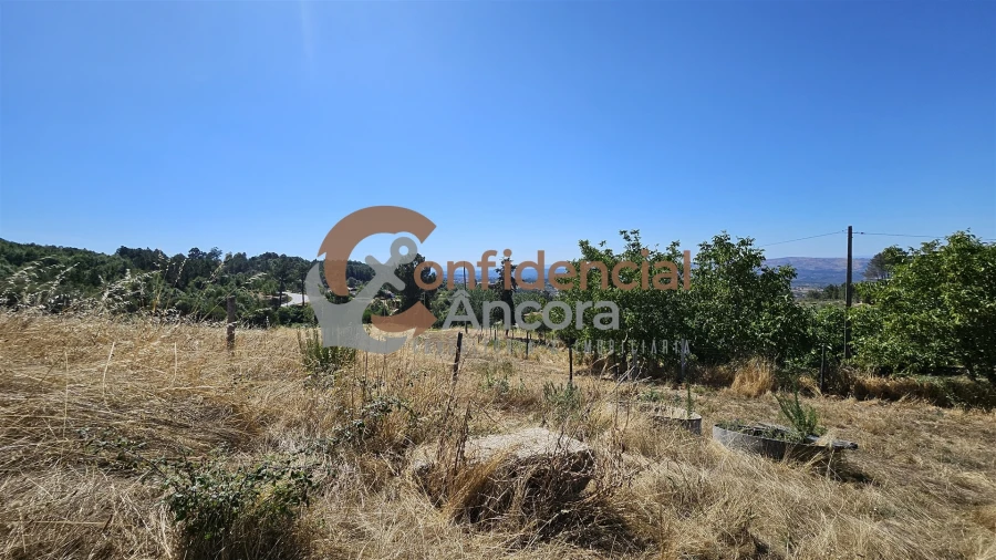 Quinta T0 para Venda em Melo e Nabais Foto 34