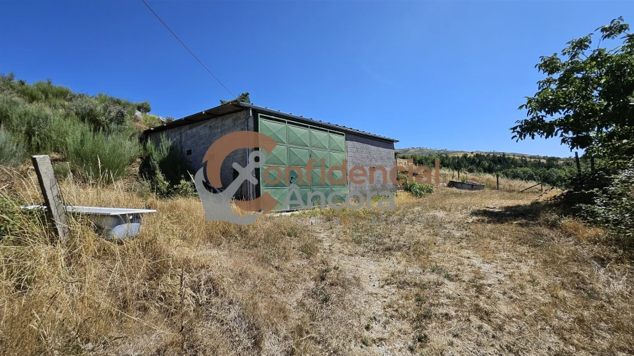 Quinta T0 para Venda em Melo e Nabais Foto 31