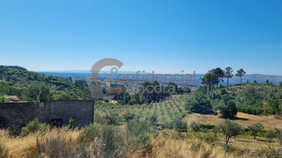 Quinta T0 para Venda em Melo e Nabais Foto 17