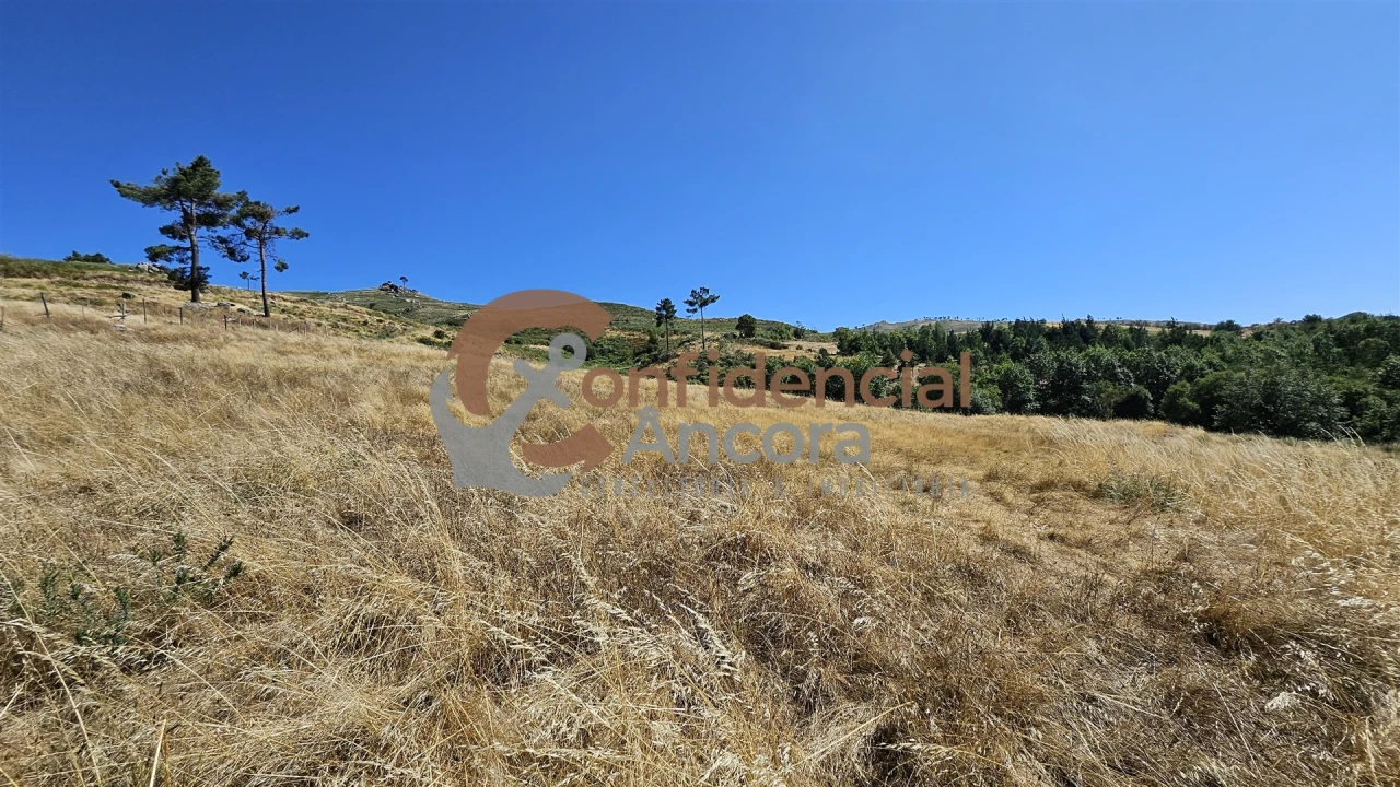 Quinta T0 para Venda em Melo e Nabais Foto 36