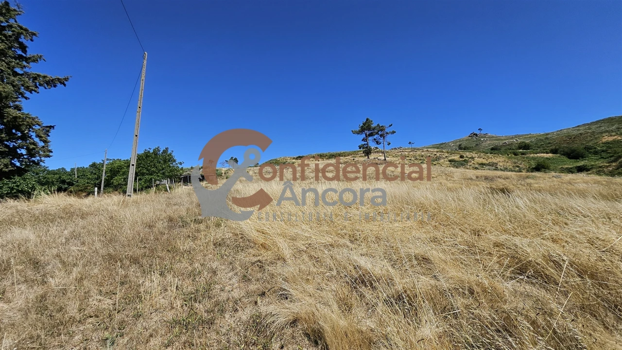 Quinta T0 para Venda em Melo e Nabais Foto 40